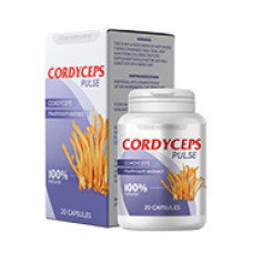 Cordyceps Pulse - per il mantenimento della condizione nel diabete