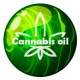 Cannabis Oil - repellente per parassiti