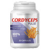 Cordyceps Pulse - Supporto del sistema cardiovascolare