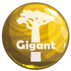 Gigant - gel per l'ingrandimento del pene